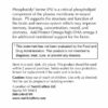 Phosphatidyl-Serine Label Information